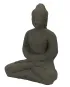 morepic-3